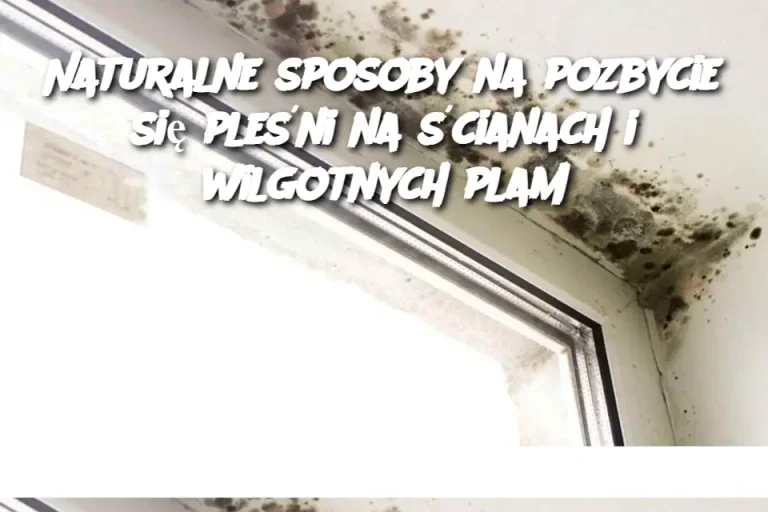 Naturalne sposoby na pozbycie się pleśni na ścianach i wilgotnych plam