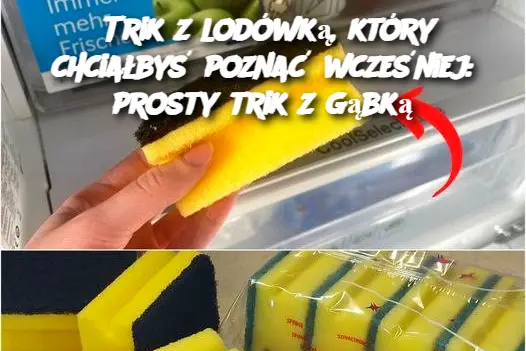 Trik z lodówką, który chciałbyś poznać wcześniej: prosty trik z gąbką