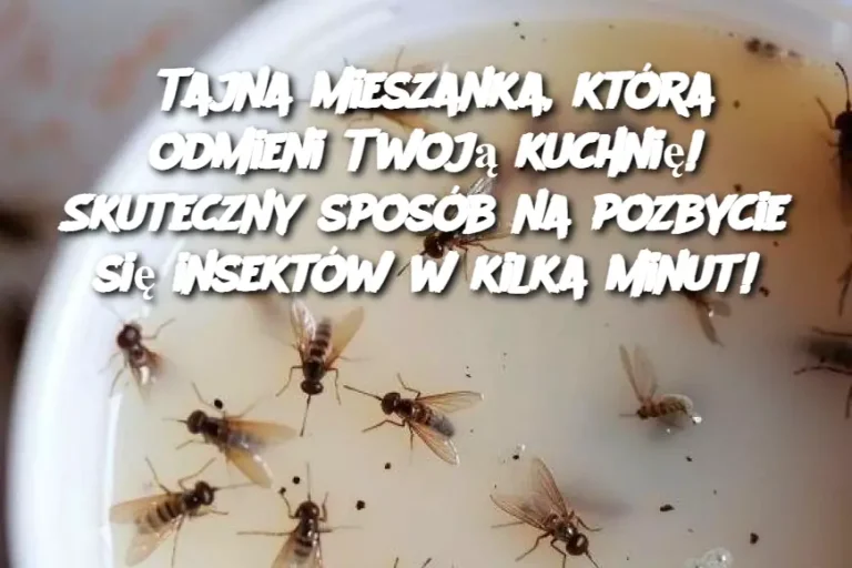 Tajna mieszanka, która odmieni Twoją kuchnię! Skuteczny sposób na pozbycie się insektów w kilka minut!