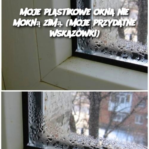 Moje plastikowe okna nie mokną zimą – Przydatne wskazówki