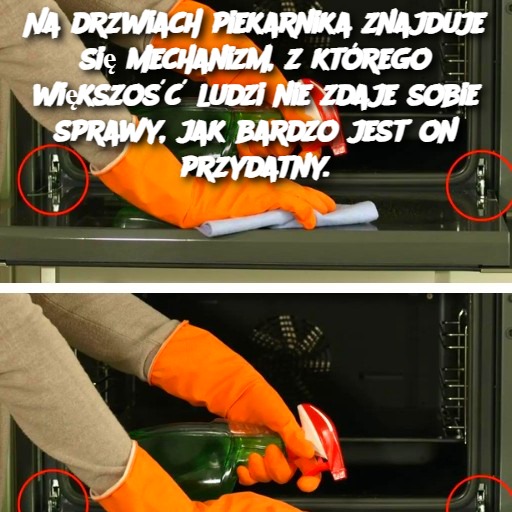 Podaj mi unikalny artykuł, a nie wykryto plagiatu w tych przepisach. [Tytuł] Postępuj zgodnie z tą strukturą wstęp składniki: Wskazówki: Wskazówki dotyczące serwowania i przechowywania: Różnice: Często zadawane pytania