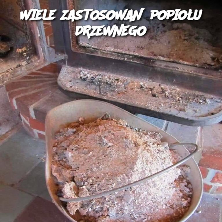 Wiele zastosowań popiołu drzewnego