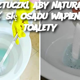 4 sztuczki, aby naturalnie pozbyć się osadu wapiennego z toalety