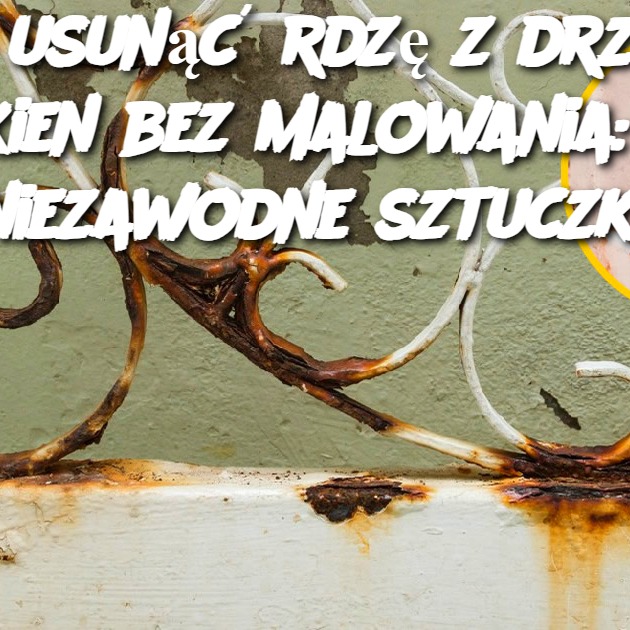 Jak usunąć rdzę z drzwi i okien bez malowania: 4 niezawodne sztuczki