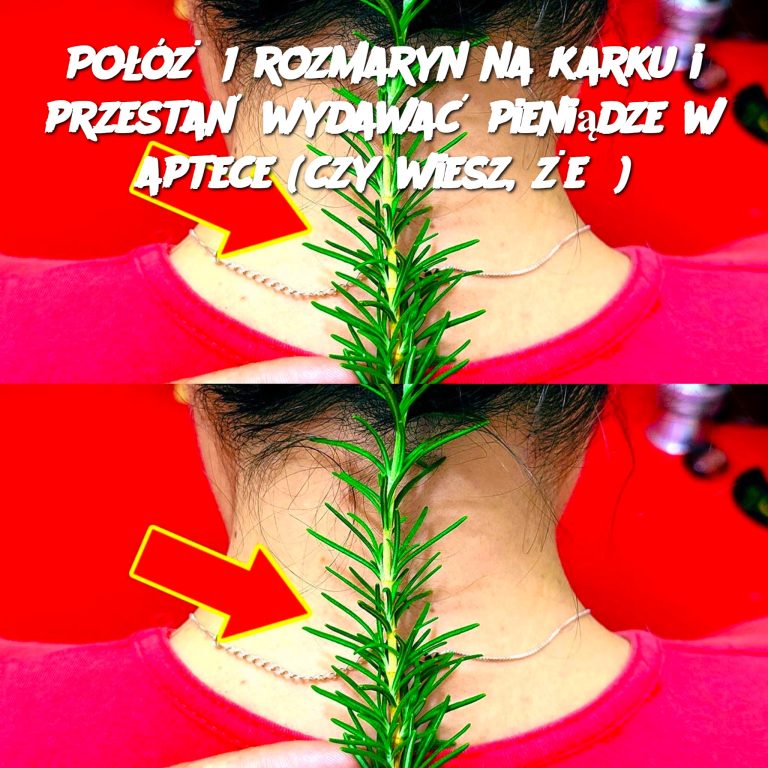 Połóż 1 rozmaryn na karku i przestań wydawać pieniądze w aptece (czy wiesz, że?)