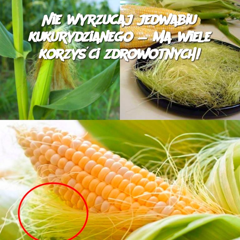 Nie wyrzucaj jedwabiu kukurydzianego — ma wiele korzyści zdrowotnych!