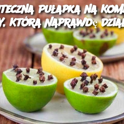 Skuteczna Pułapka na Komary DIY, Która Naprawdę Działa!