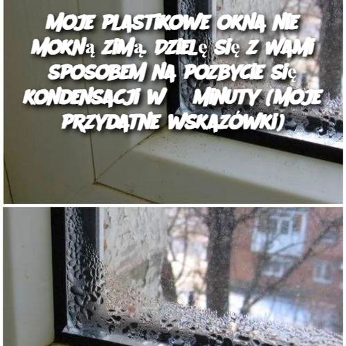 Moje plastikowe okna nie mokną zimą. Dzielę się z Wami sposobem na pozbycie się kondensacji w 3 minuty (moje przydatne wskazówki)