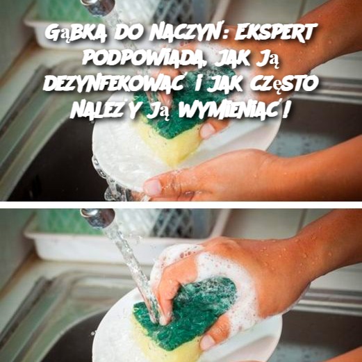 Gąbka do naczyń: Ekspert podpowiada, jak ją dezynfekować i jak często należy ją wymieniać!