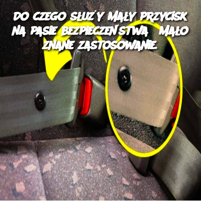 Do czego służy mały przycisk na pasie bezpieczeństwa? Mało znane zastosowanie.