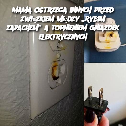 Mama ostrzega innych przed związkiem między „rybim zapachem” a topnieniem gniazdek elektrycznych