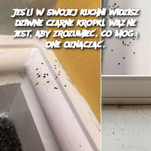 Jeśli w swojej kuchni widzisz dziwne czarne kropki, ważne jest, aby zrozumieć, co mogą one oznaczać.