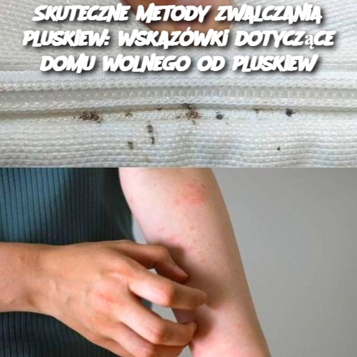 Skuteczne metody zwalczania pluskiew: wskazówki dotyczące domu wolnego od pluskiew