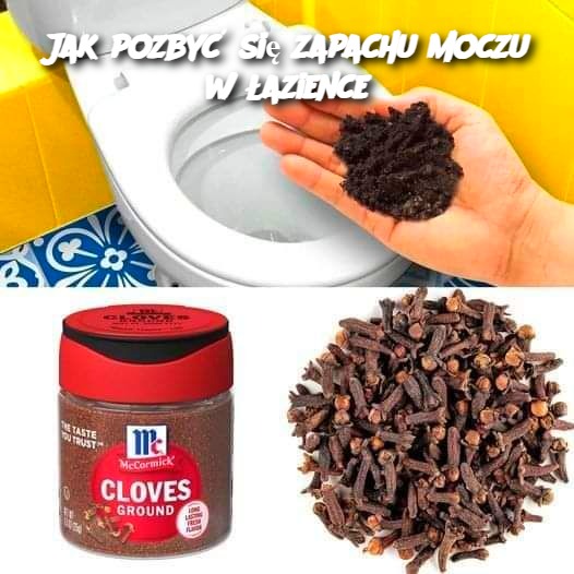 Jak pozbyć się zapachu moczu w łazience