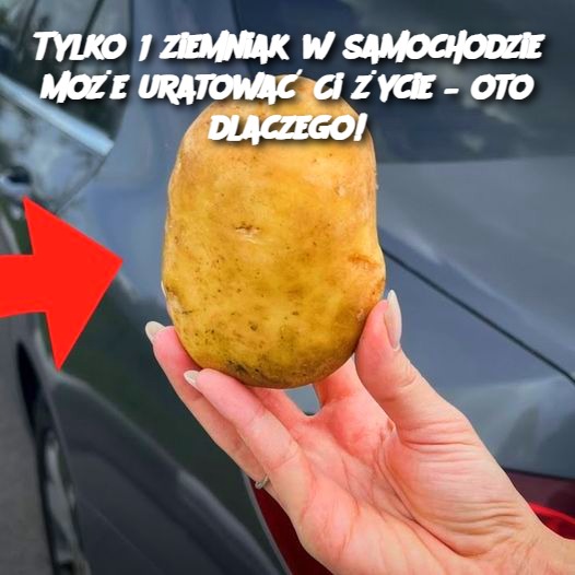 Tylko 1 ziemniak w samochodzie może uratować Ci życie – oto dlaczego!