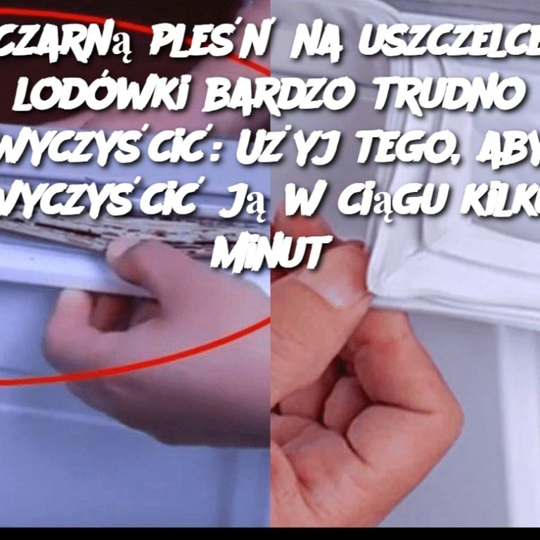 Czarną pleśń na uszczelce lodówki bardzo trudno wyczyścić: Użyj tego, aby wyczyścić ją w ciągu kilku minut