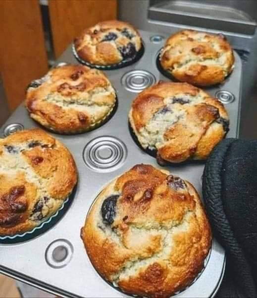 Muffinki jagodowe dla diabetyków