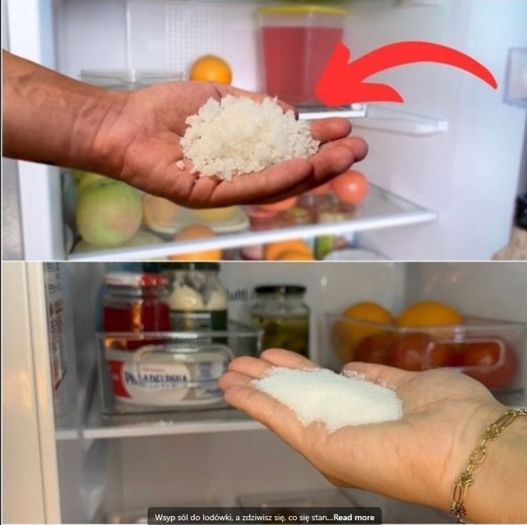 Dlaczego Warto Używać Soli w Lodówce?