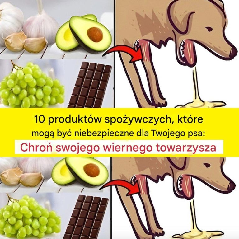 Uwaga: Dostępnych jest 10 produktów, które nie wchodzą w skład zestawu – czas iść do szkoły!