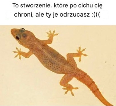 O, okazuje się, że ich źle zrozumieliśmy. Cóż, to dziwne — kompletnie się pomyliliśmy!