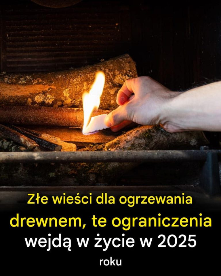 “Drewno w opałach: Co się zmieni w domowym ogrzewaniu w 2025 roku?”