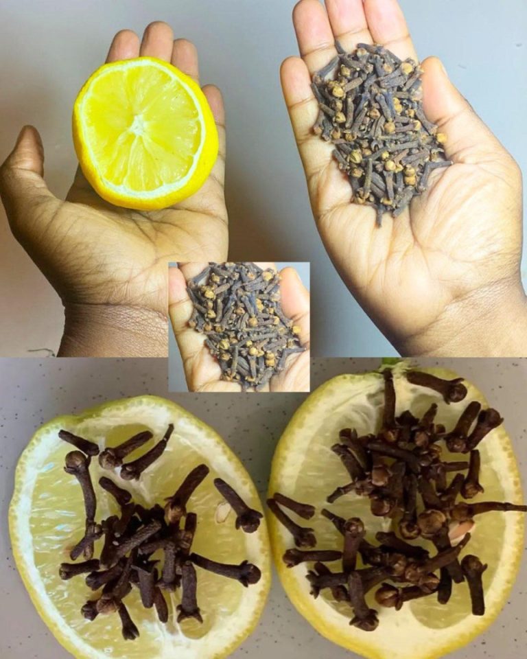 Moc cytryny i goździków: naturalny sposób na zdrowie i aromat
